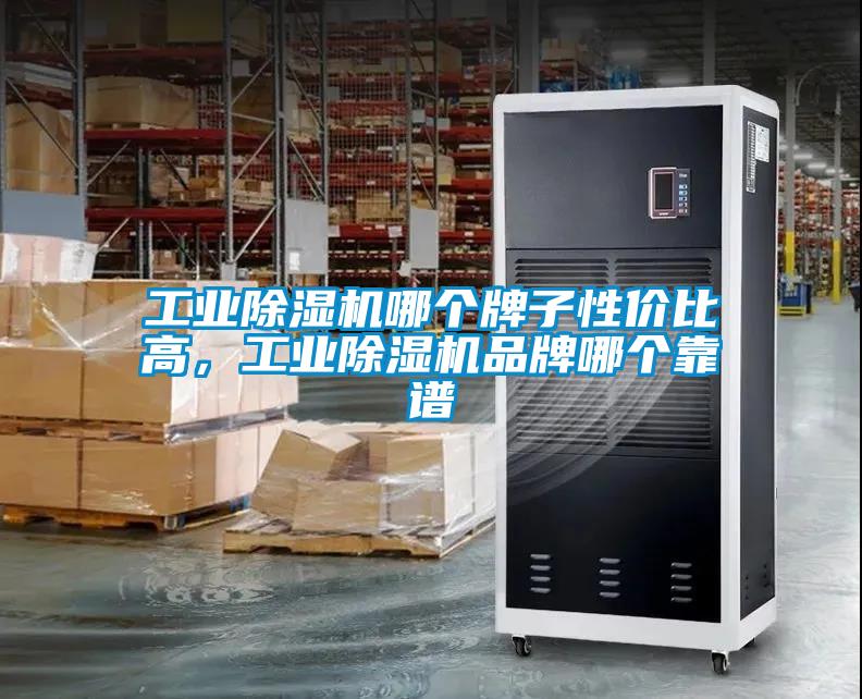 工業(yè)除濕機哪個牌子性價比高<div   id=