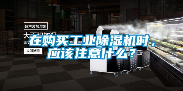 在購買工業(yè)除濕機(jī)時<div   id=