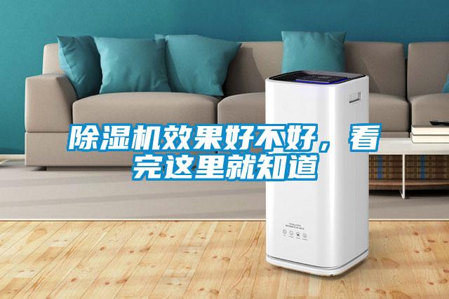 除濕機(jī)效果好不好<div   id=