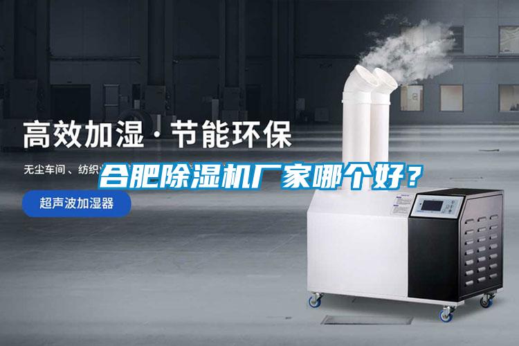 合肥除濕機(jī)廠家哪個(gè)好<div   id=