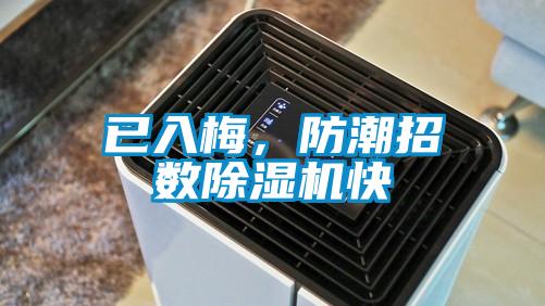 已入梅<div   id=