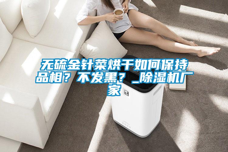 無(wú)硫金針菜烘干如何保持品相<div   id=