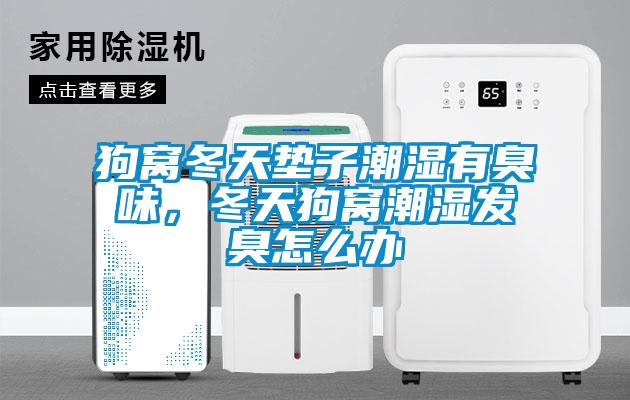 狗窩冬天墊子潮濕有臭味<div   id=