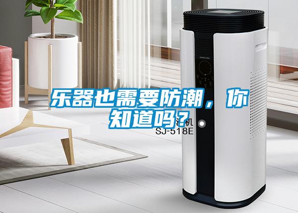 樂器也需要防潮<div   id=