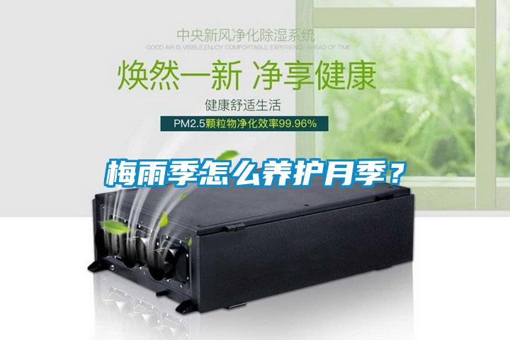 梅雨季怎么養(yǎng)護(hù)月季<div   id=