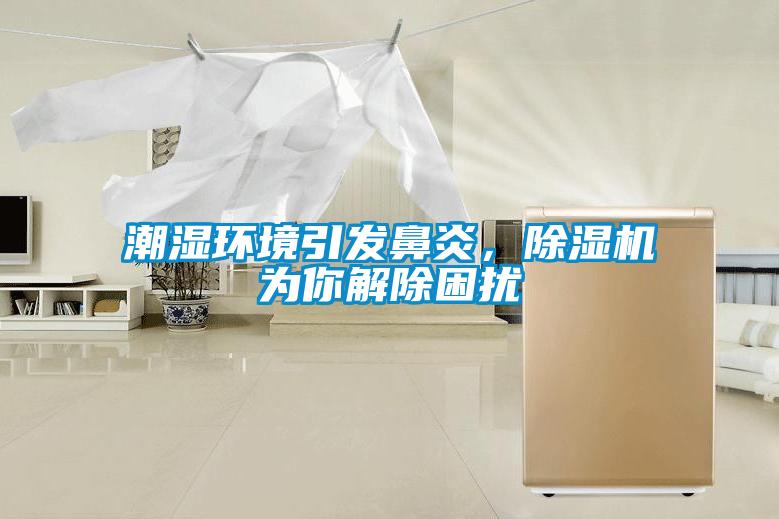 潮濕環(huán)境引發(fā)鼻炎,除濕機為你解除困擾