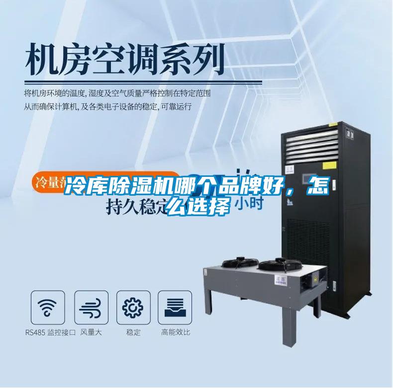 冷庫(kù)除濕機(jī)哪個(gè)品牌好<div   id=