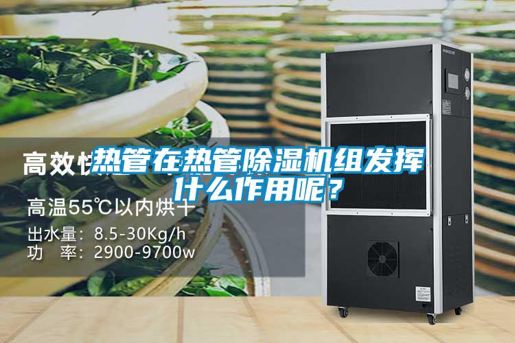 熱管在熱管除濕機組發(fā)揮什么作用呢<div   id=