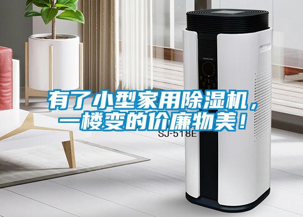 有了小型家用除濕機(jī)，一樓變的價(jià)廉物美<div   id=