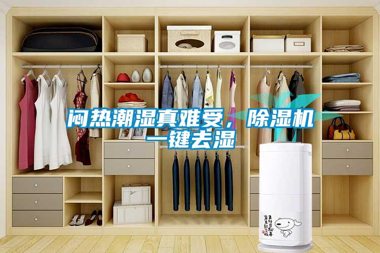 悶熱潮濕真難受<div   id=