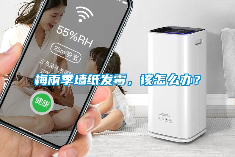 梅雨季墻紙發(fā)霉<div   id=