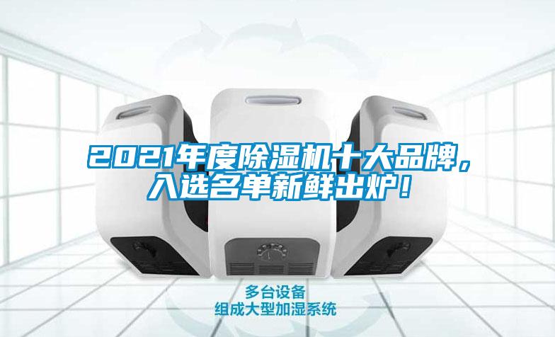 2021年度除濕機(jī)十大品牌<div   id=