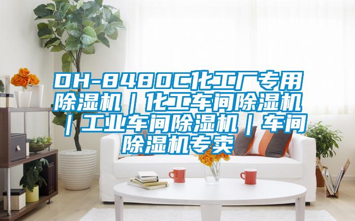 DH-8480C化工廠專用除濕機(jī)|化工車間除濕機(jī)|工業(yè)車間除濕機(jī)|車間除濕機(jī)專賣