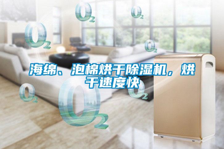 海綿<div   id=