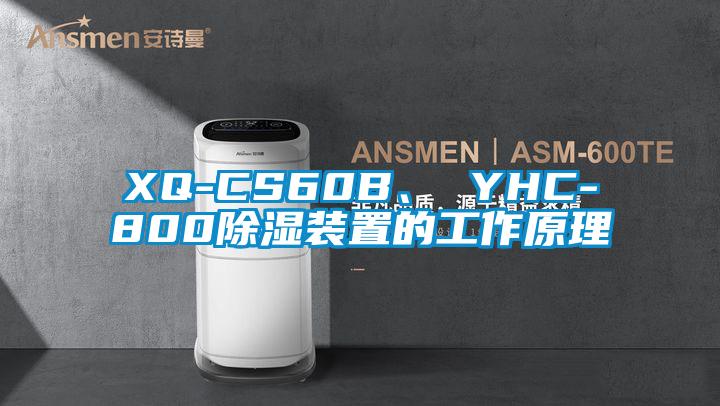 XQ-CS60B<div   id=