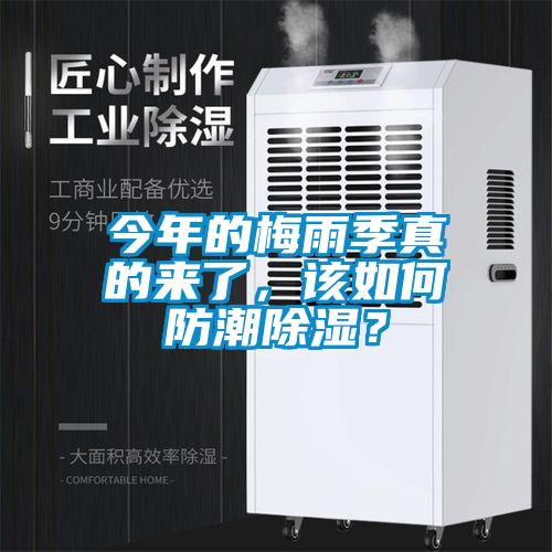 今年的梅雨季真的來了<div   id=