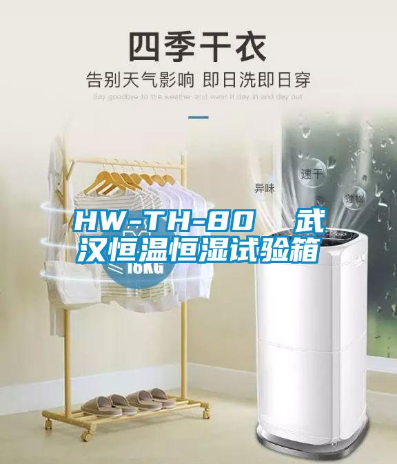 HW-TH-80 武漢恒溫恒濕試驗(yàn)箱