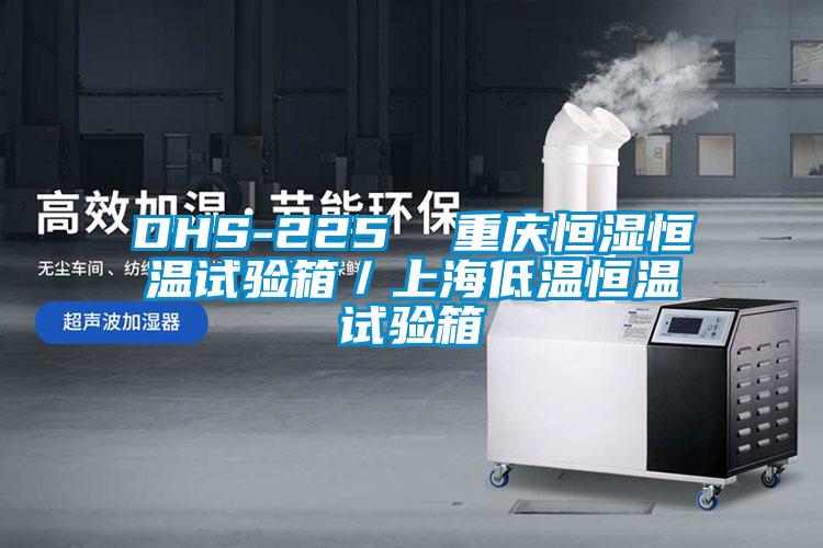 DHS-225 重慶恒濕恒溫試驗箱/上海低溫恒溫試驗箱