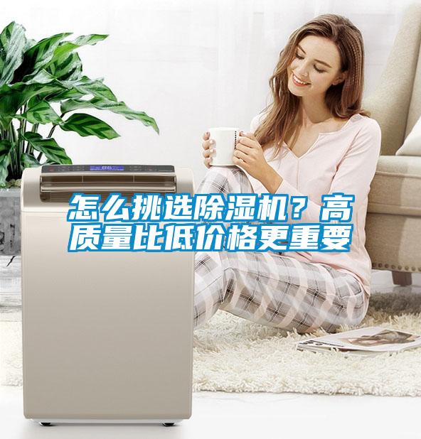 怎么挑選除濕機<div   id=