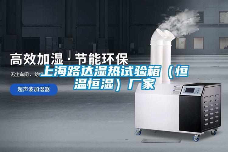 上海路達(dá)濕熱試驗(yàn)箱(恒溫恒濕)廠家