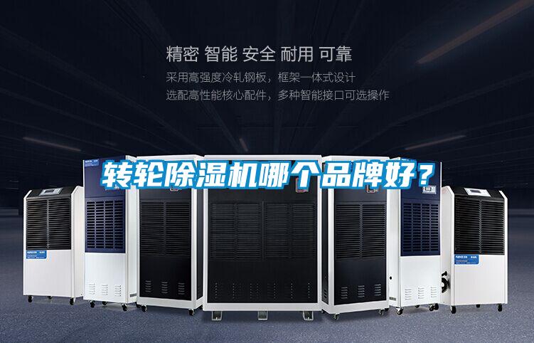 轉(zhuǎn)輪除濕機(jī)哪個品牌好<div   id=