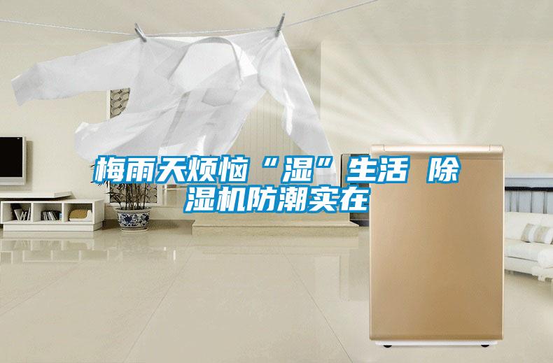 梅雨天煩惱“濕”生活 除濕機(jī)防潮實在