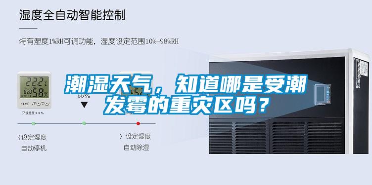 潮濕天氣<div   id=