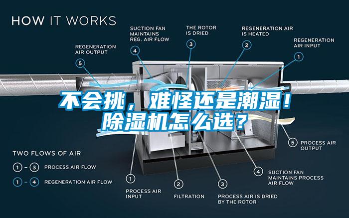 不會(huì)挑<div   id=