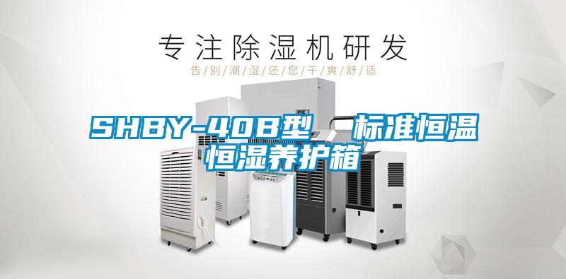 SHBY-40B型 標(biāo)準(zhǔn)恒溫恒濕養(yǎng)護(hù)箱