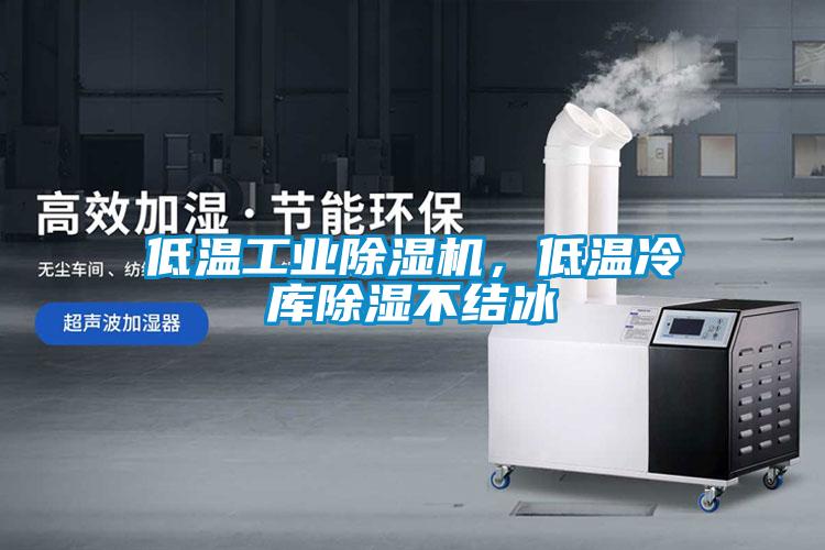 低溫工業(yè)除濕機(jī)<div   id=