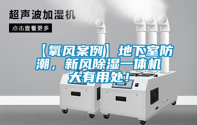 【氧風(fēng)案例】地下室防潮<div   id=