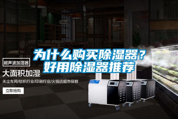 為什么購(gòu)買(mǎi)除濕器？好用除濕器推薦