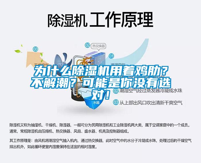 為什么除濕機(jī)用著雞肋<div   id=