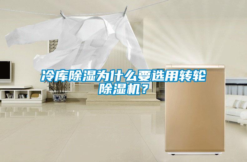 冷庫除濕為什么要選用轉(zhuǎn)輪除濕機(jī)<div   id=