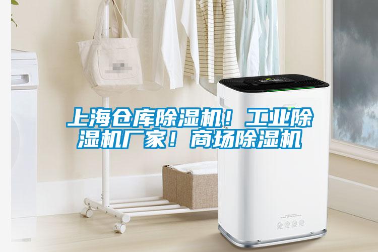 上海倉(cāng)庫(kù)除濕機(jī)<div   id=