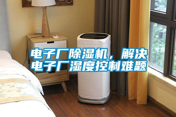 電子廠除濕機(jī)<div   id=
