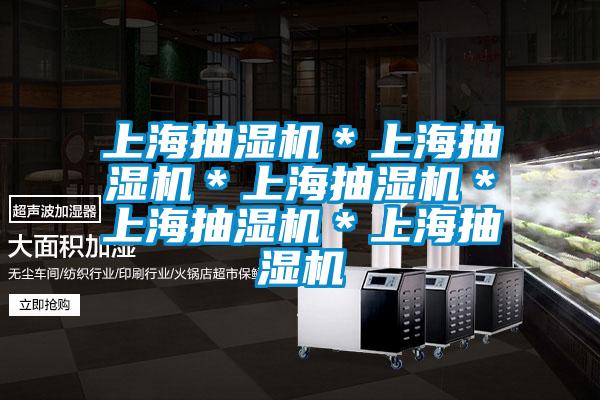 上海抽濕機(jī)*上海抽濕機(jī)*上海抽濕機(jī)*上海抽濕機(jī)*上海抽濕機(jī)