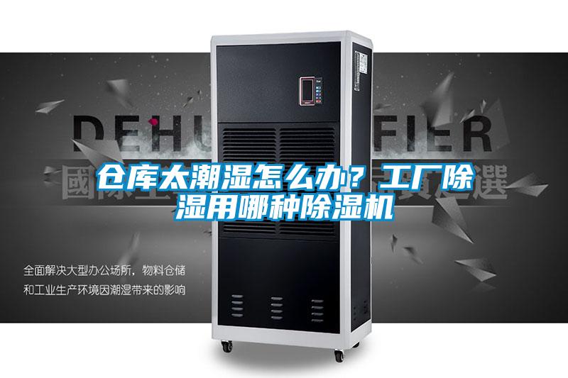 倉庫太潮濕怎么辦?工廠除濕用哪種除濕機