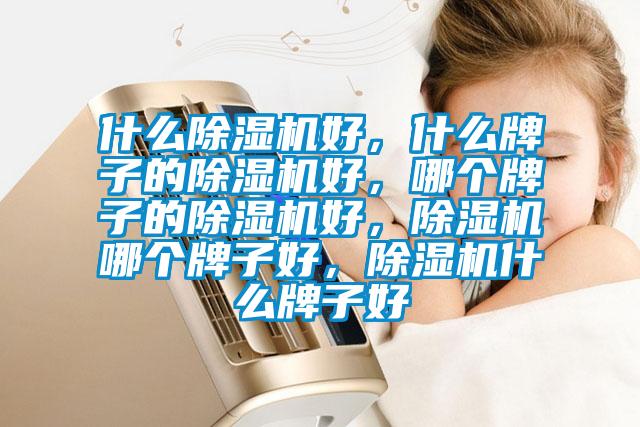 什么除濕機好<div   id=