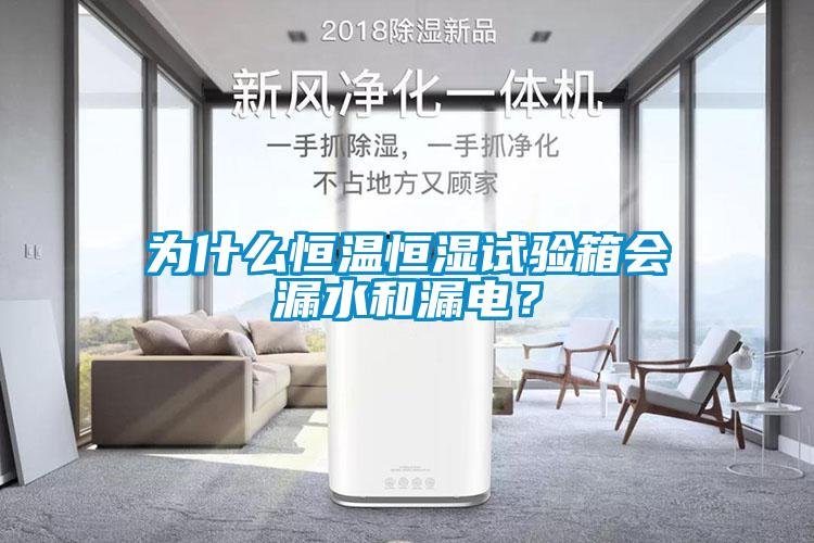 為什么恒溫恒濕試驗(yàn)箱會(huì)漏水和漏電<div   id=