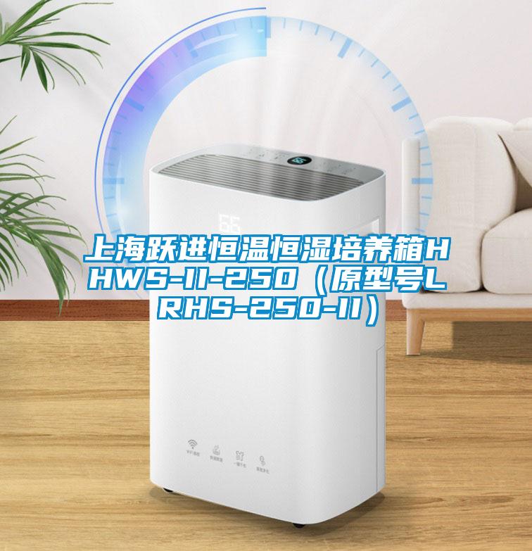 上海躍進(jìn)恒溫恒濕培養(yǎng)箱HHWS-II-250(原型號LRHS-250-II)