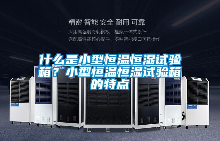 什么是小型恒溫恒濕試驗(yàn)箱?小型恒溫恒濕試驗(yàn)箱的特點(diǎn)