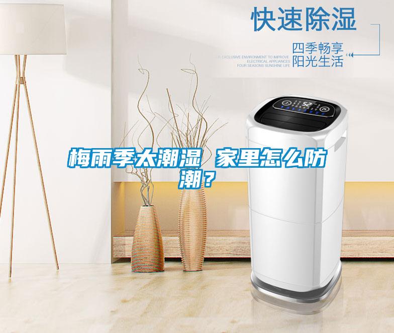 梅雨季太潮濕 家里怎么防潮<div   id=