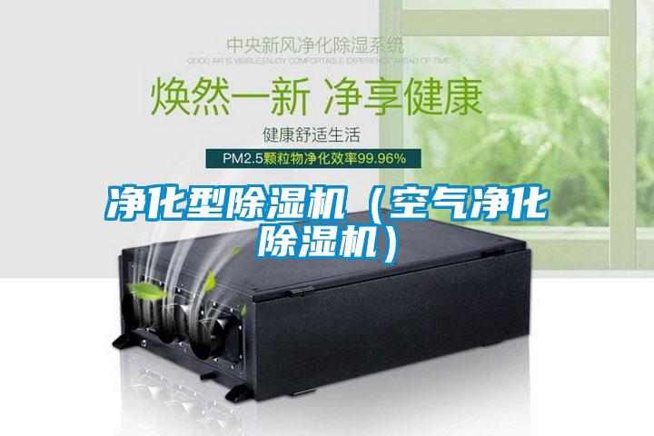 凈化型除濕機(jī)(空氣凈化除濕機(jī))