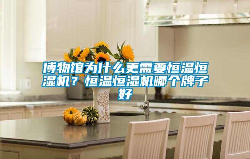 博物館為什么更需要恒溫恒濕機(jī)<div   id=