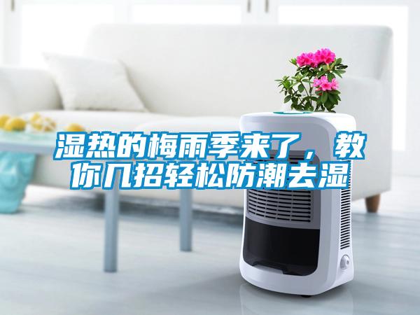 濕熱的梅雨季來了<div   id=