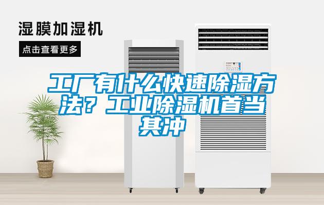 工廠有什么快速除濕方法<div   id=