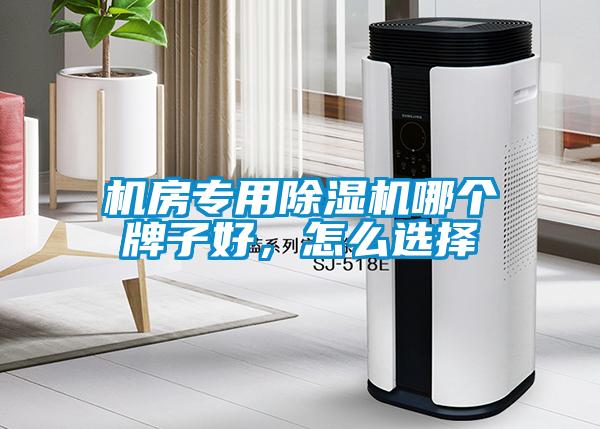 機(jī)房專用除濕機(jī)哪個牌子好<div   id=