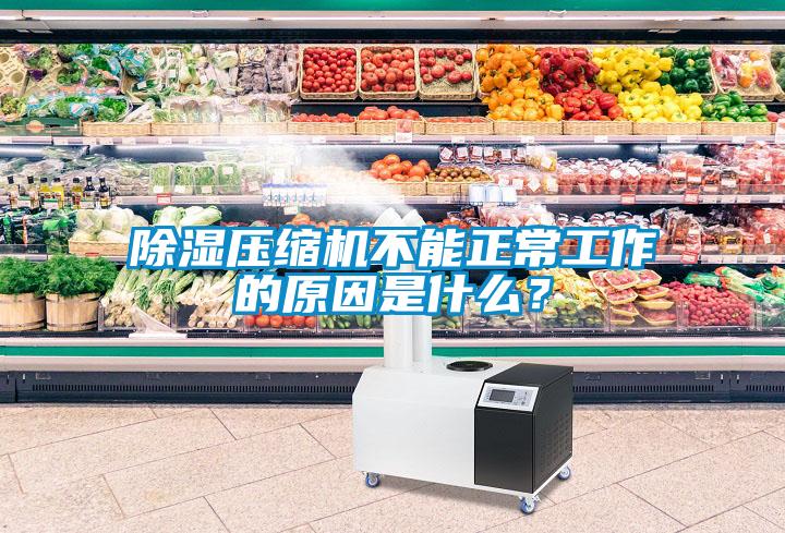 除濕壓縮機(jī)不能正常工作的原因是什么<div   id=