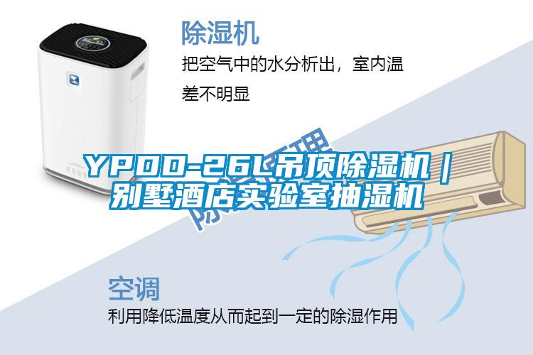 YPDD-26L吊頂除濕機|別墅酒店實驗室抽濕機
